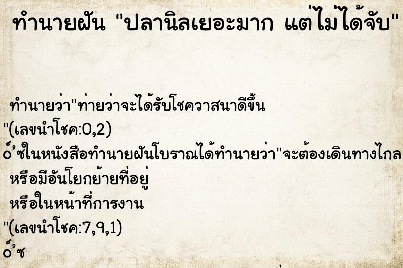 ทำนายฝันทำนายฝันปลานิลเยอะมากแต่ไม่ได้จับ